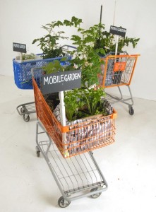 l'orto Self-Service